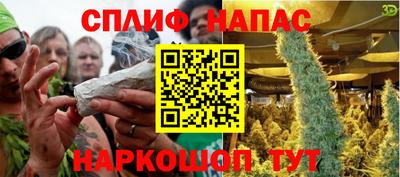 прущие грибы Кингисепп