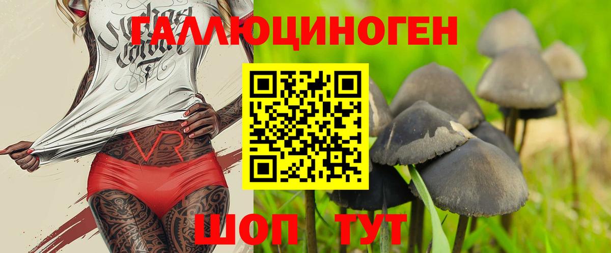 Валуйки  Галлюциногенные грибы мицелий  Вход с VPN 